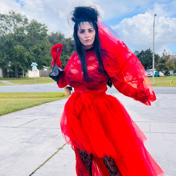 DIY Lydia Deetz BEETLEJUICE Halloween Costume S/M - Picture 3 of 3